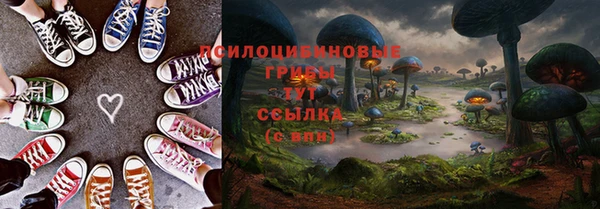 шишки Алзамай