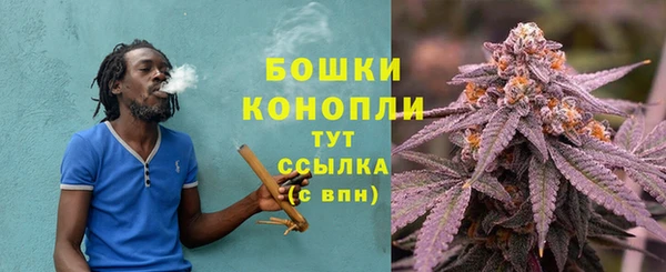 шишки Алзамай