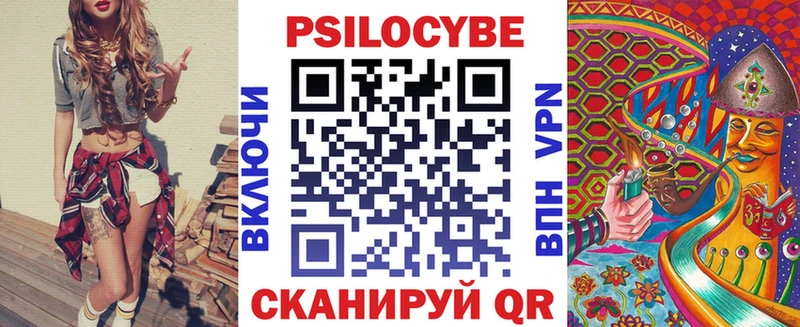 Псилоцибиновые грибы Psilocybe  купить наркоту  Новомичуринск 
